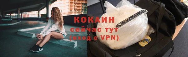 дживик Заводоуковск