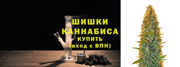 дживик Заводоуковск