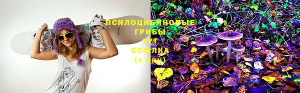дурь Заволжск