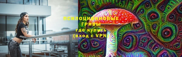 дурь Заволжск