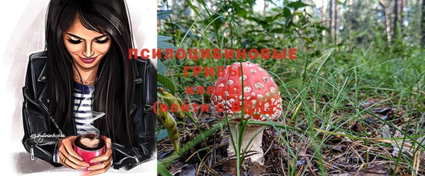 хмурый Заволжье