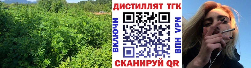 ТГК концентрат  Клин 
