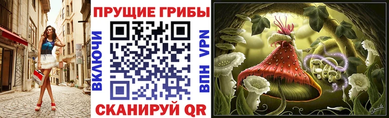 Псилоцибиновые грибы Psilocybine cubensis  Клин 